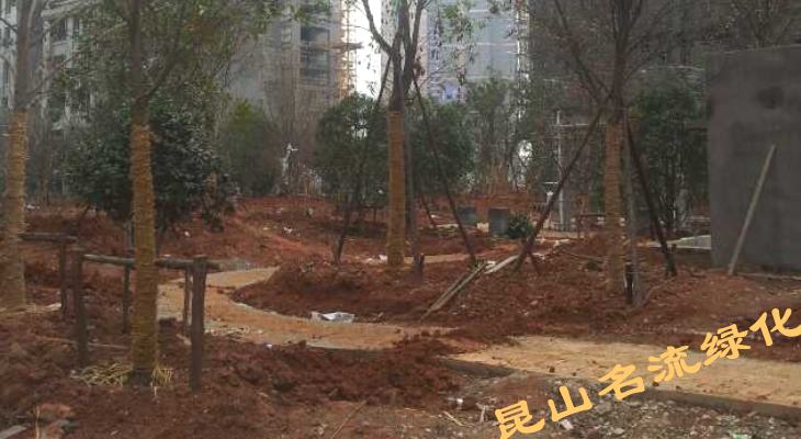 园林绿化施工现场