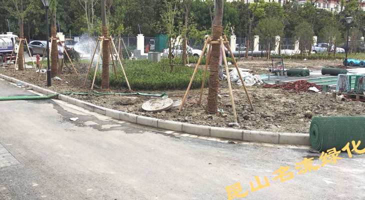 绿化施工现场